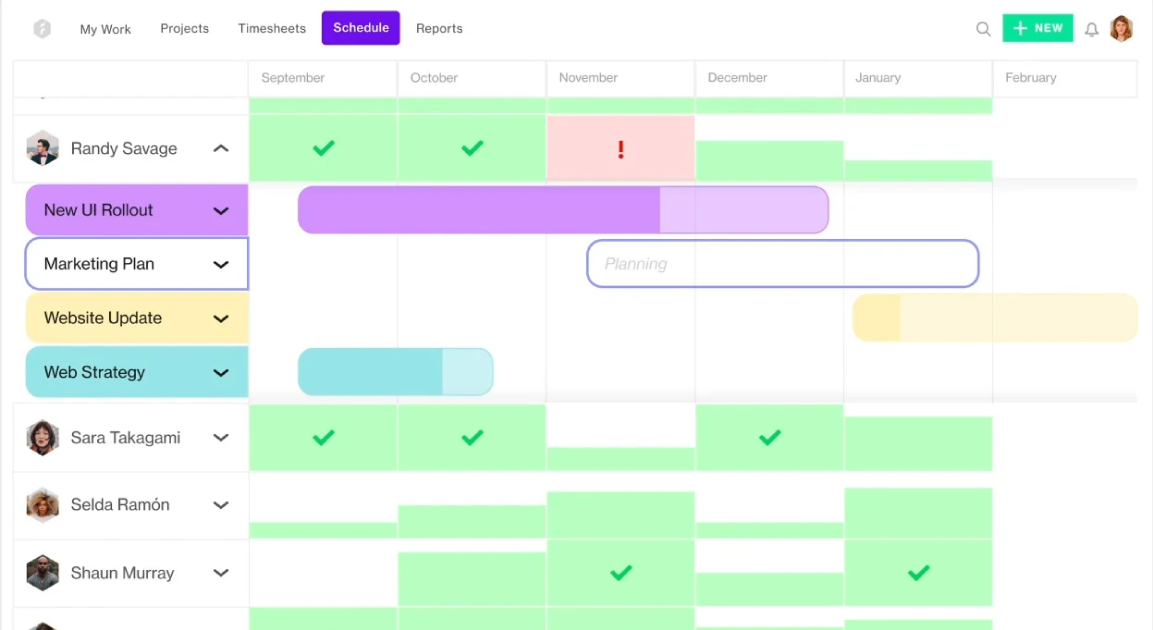 Forecast resource management software.